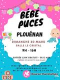 Photo Bébé Puces à Plouénan