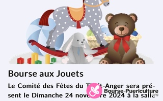 Photo de la bourse puericulture Bourse aux jouets