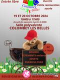 Photo Bourse aux vêtements, puériculture et jouets à Colombey-les-Belles